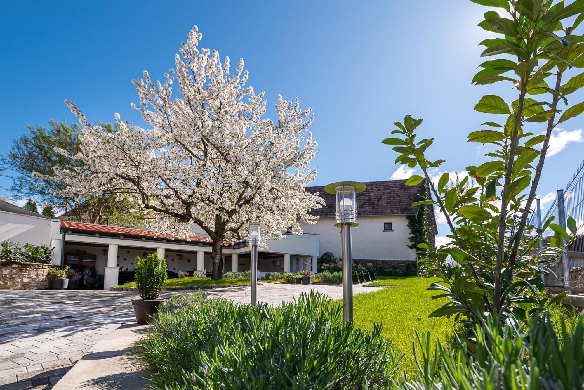 Ferienwohnung Papoula Vendeghaz Tihany Exterior foto